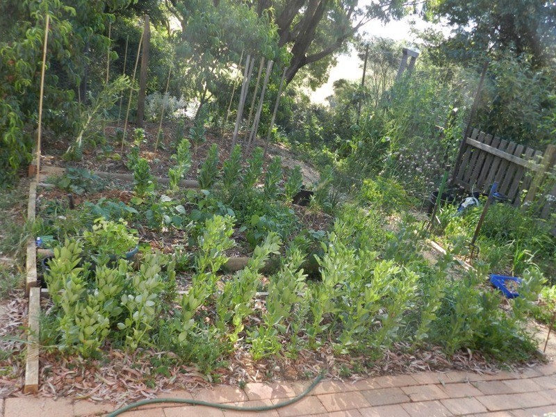Lot 4 Tulloh Street, Crookwell NSW 2583