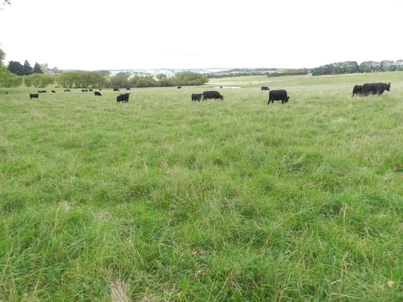 103 Third Creek Road, Crookwell NSW 2583