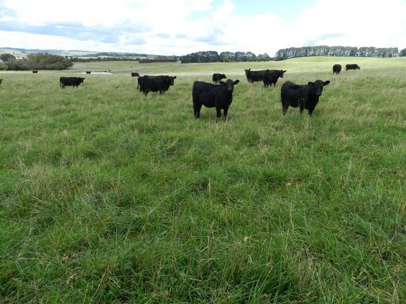 103 Third Creek Road, Crookwell NSW 2583