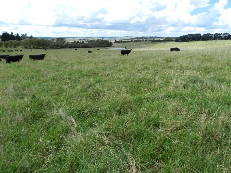 103 Third Creek Road, Crookwell NSW 2583