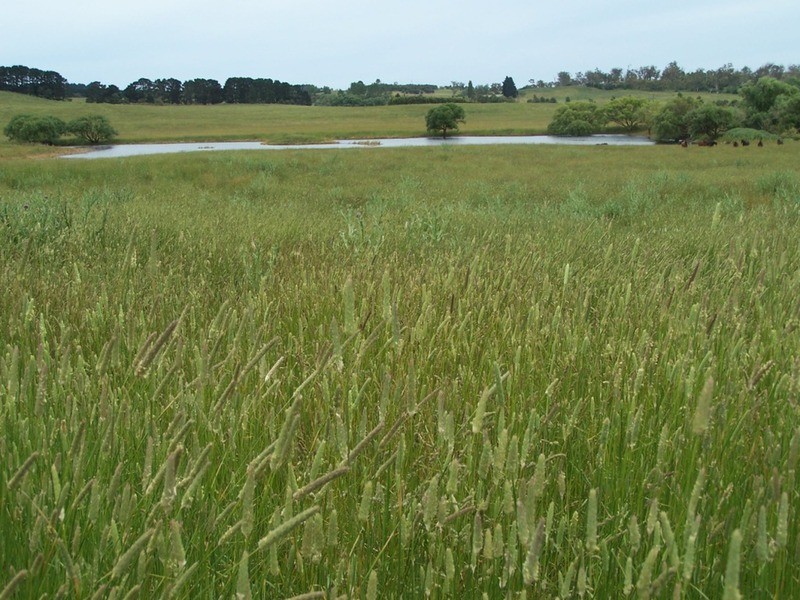 103 Third Creek Road, Crookwell NSW 2583