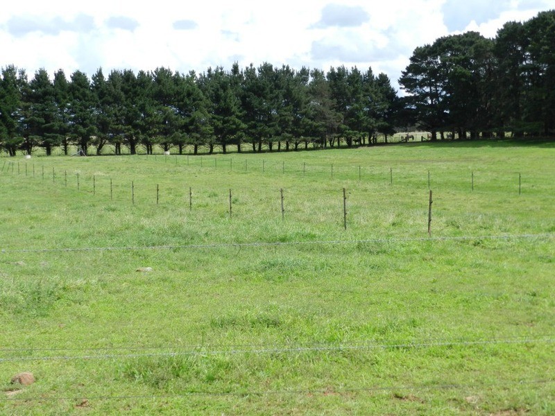 103 Third Creek Road, Crookwell NSW 2583