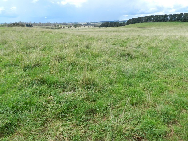 103 Third Creek Road, Crookwell NSW 2583