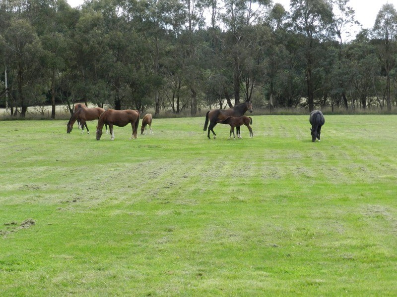 103 Third Creek Road, Crookwell NSW 2583