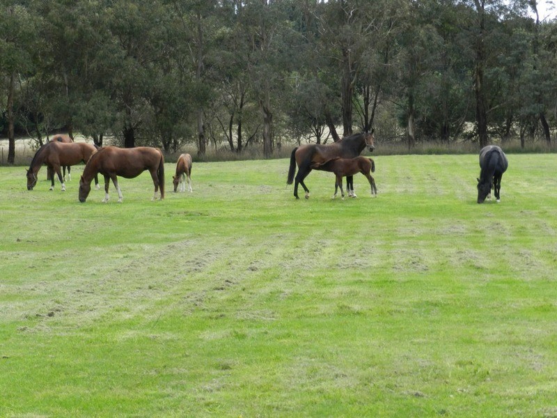 103 Third Creek Road, Crookwell NSW 2583