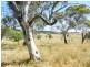 208 Wheeo Road, Grabben Gullen NSW 2583
