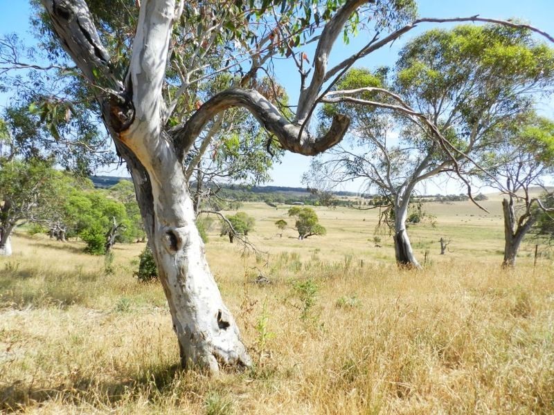 208 Wheeo Road, Grabben Gullen NSW 2583
