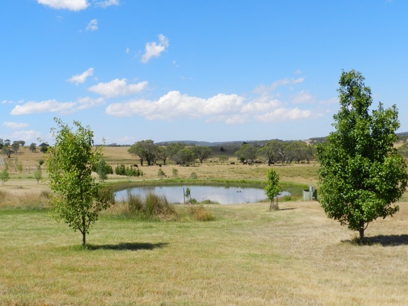 208 Wheeo Road, Grabben Gullen NSW 2583