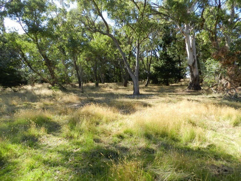 Lot 2 Hewitts Lane, Grabben Gullen NSW 2583