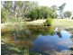 Lot 2 Hewitts Lane, Grabben Gullen NSW 2583