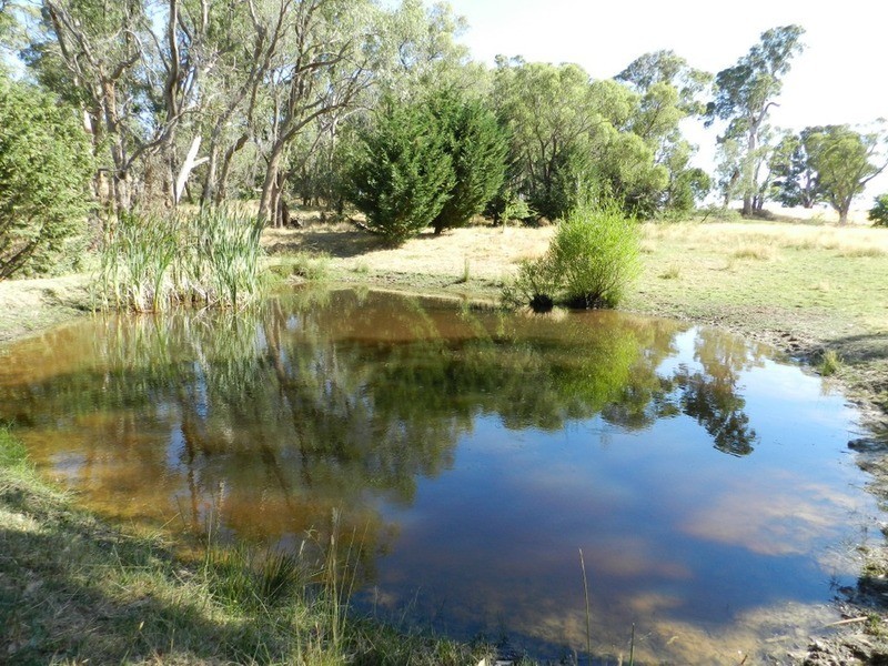 Lot 2 Hewitts Lane, Grabben Gullen NSW 2583