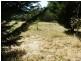 Lot 2 Hewitts Lane, Grabben Gullen NSW 2583