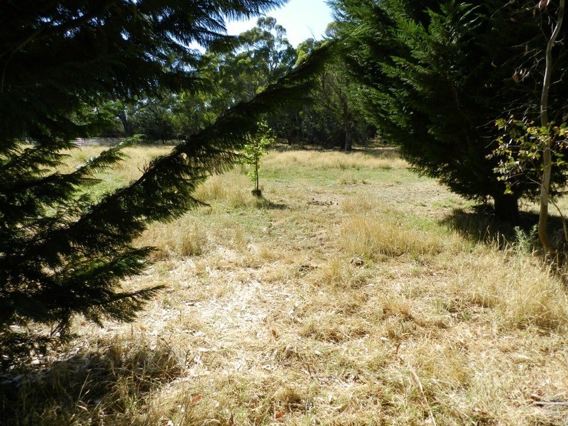 Lot 2 Hewitts Lane, Grabben Gullen NSW 2583