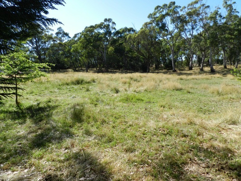 Lot 2 Hewitts Lane, Grabben Gullen NSW 2583