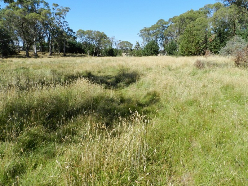Lot 2 Hewitts Lane, Grabben Gullen NSW 2583