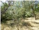 Lot 2 Hewitts Lane, Grabben Gullen NSW 2583