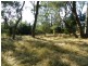 Lot 2 Hewitts Lane, Grabben Gullen NSW 2583