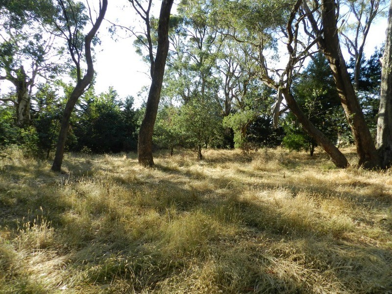 Lot 2 Hewitts Lane, Grabben Gullen NSW 2583