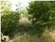 Lot 2 Hewitts Lane, Grabben Gullen NSW 2583