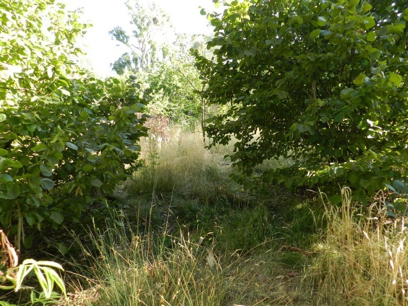 Lot 2 Hewitts Lane, Grabben Gullen NSW 2583