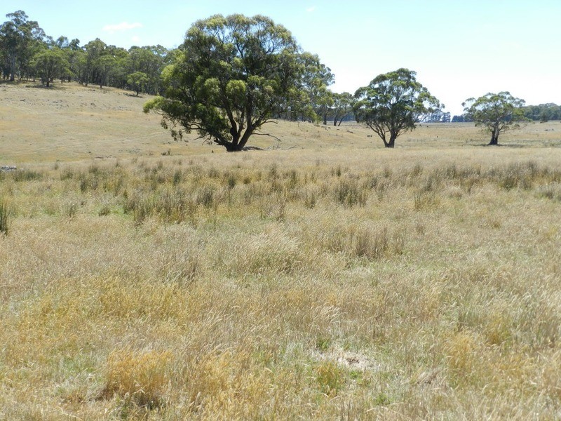 Lot 2 Golspie Road, Taralga NSW 2580