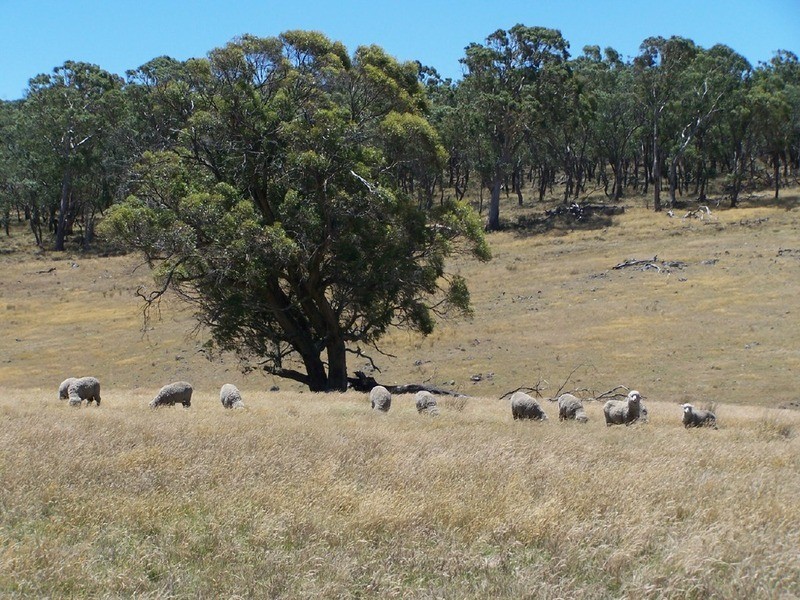 Lot 2 Golspie Road, Taralga NSW 2580