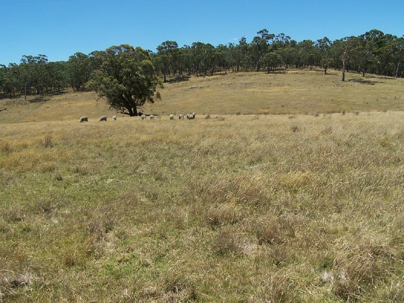 Lot 2 Golspie Road, Taralga NSW 2580