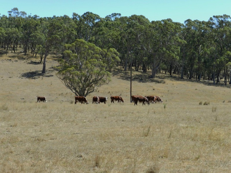 Lot 2 Golspie Road, Taralga NSW 2580