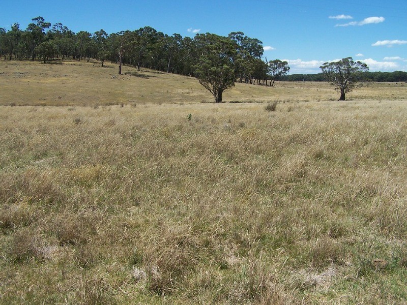 Lot 2 Golspie Road, Taralga NSW 2580