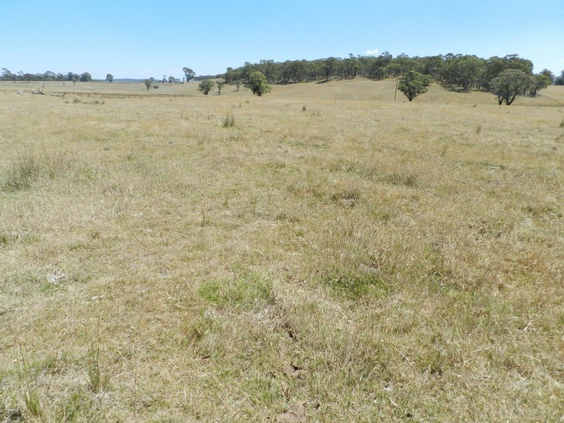 Lot 2 Golspie Road, Taralga NSW 2580