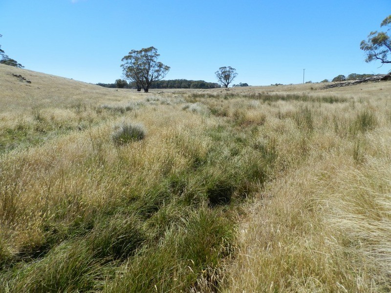 Lot 2 Golspie Road, Taralga NSW 2580