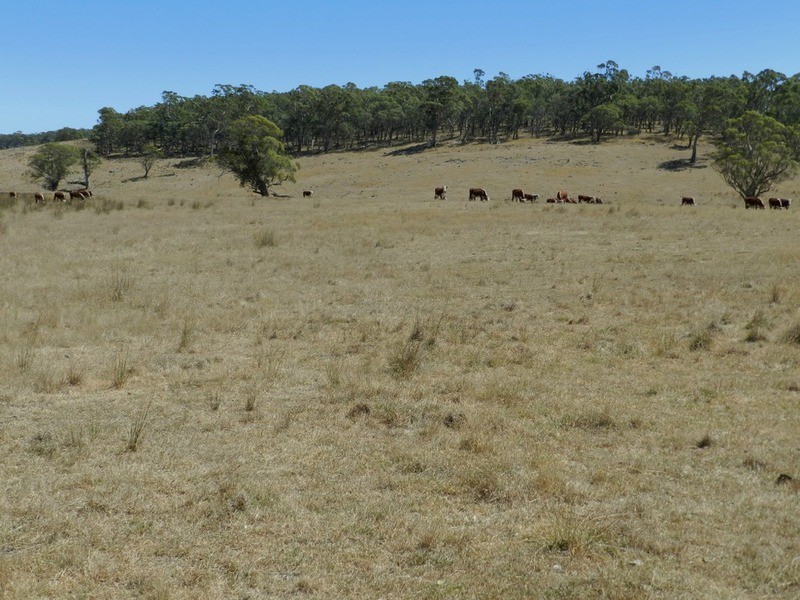 Lot 2 Golspie Road, Taralga NSW 2580