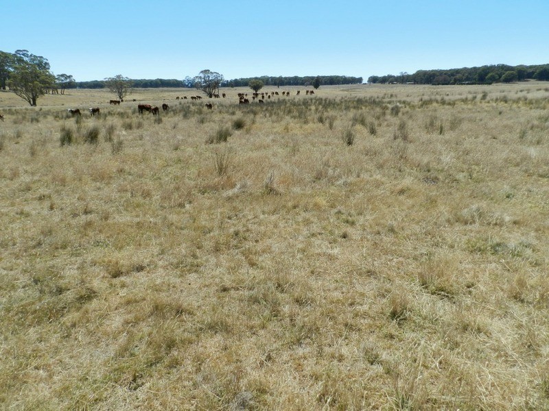 Lot 2 Golspie Road, Taralga NSW 2580
