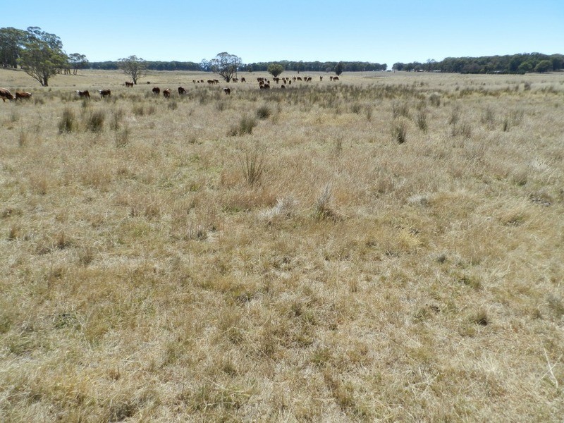 Lot 2 Golspie Road, Taralga NSW 2580