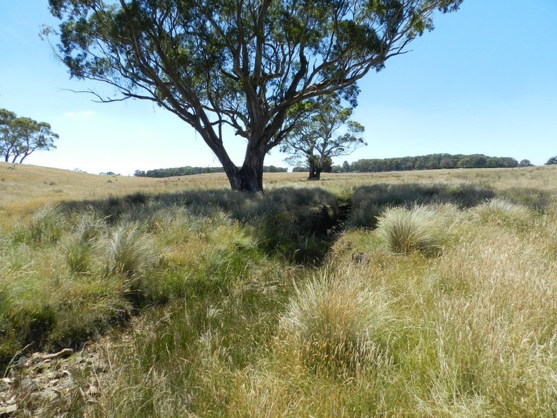 Lot 2 Golspie Road, Taralga NSW 2580