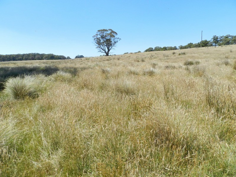 Lot 2 Golspie Road, Taralga NSW 2580