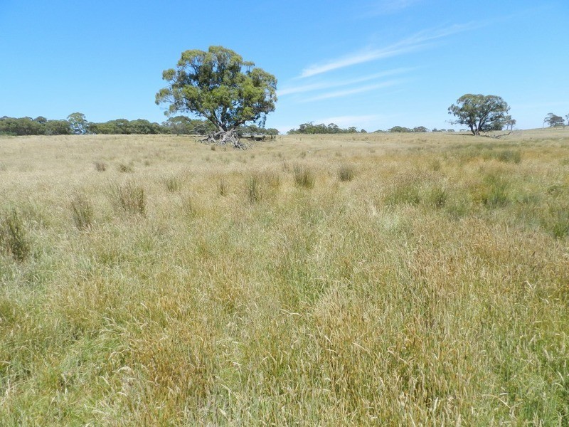 Lot 2 Golspie Road, Taralga NSW 2580