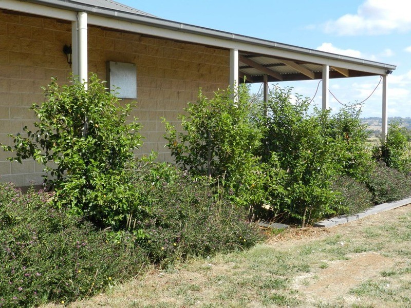 Lot 9 Croker Place, Crookwell NSW 2583