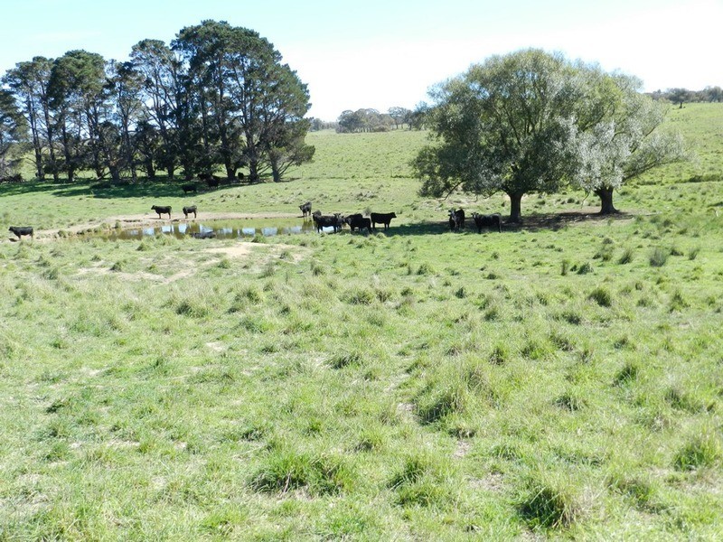 495 Leighwood  Road, Golspie NSW 2580