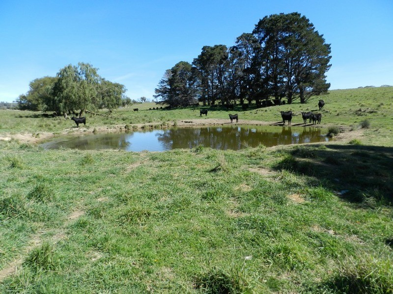 495 Leighwood  Road, Golspie NSW 2580