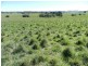 495 Leighwood  Road, Golspie NSW 2580