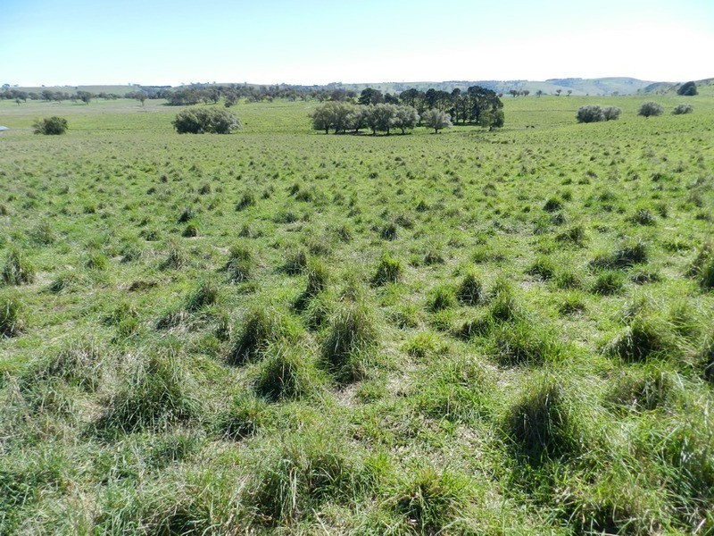 495 Leighwood  Road, Golspie NSW 2580