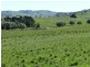495 Leighwood  Road, Golspie NSW 2580