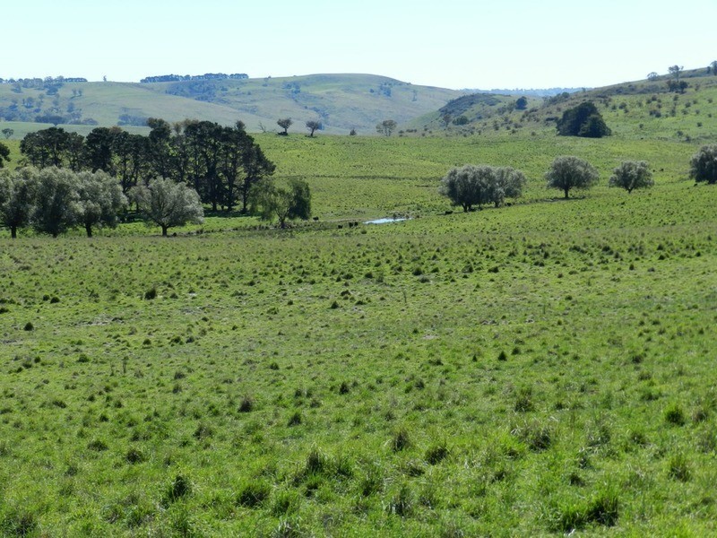 495 Leighwood  Road, Golspie NSW 2580