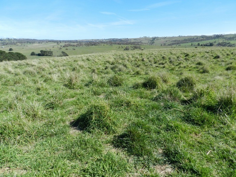 495 Leighwood  Road, Golspie NSW 2580