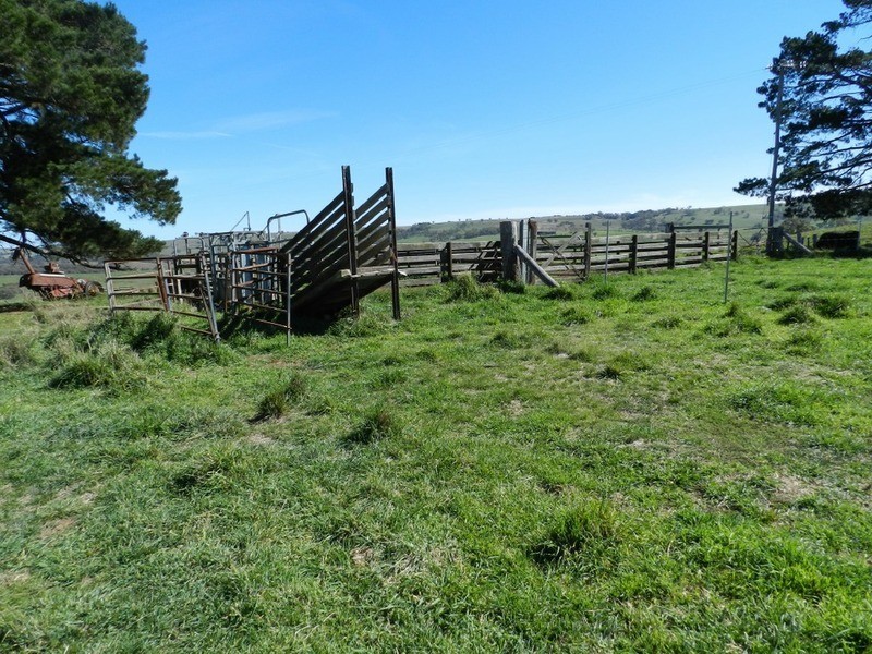 495 Leighwood  Road, Golspie NSW 2580