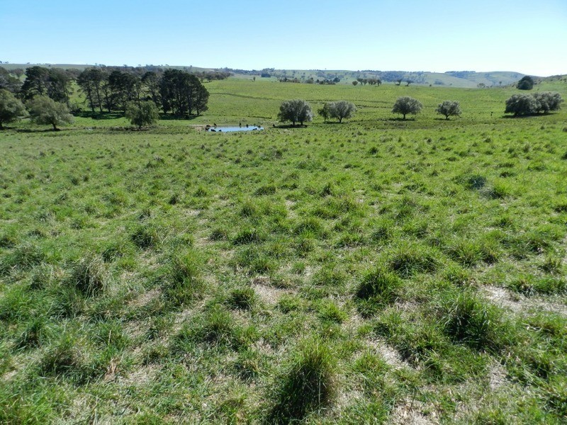 495 Leighwood  Road, Golspie NSW 2580