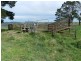 495 Leighwood  Road, Golspie NSW 2580