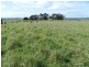 495 Leighwood  Road, Golspie NSW 2580