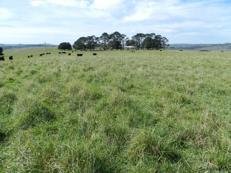 495 Leighwood  Road, Golspie NSW 2580